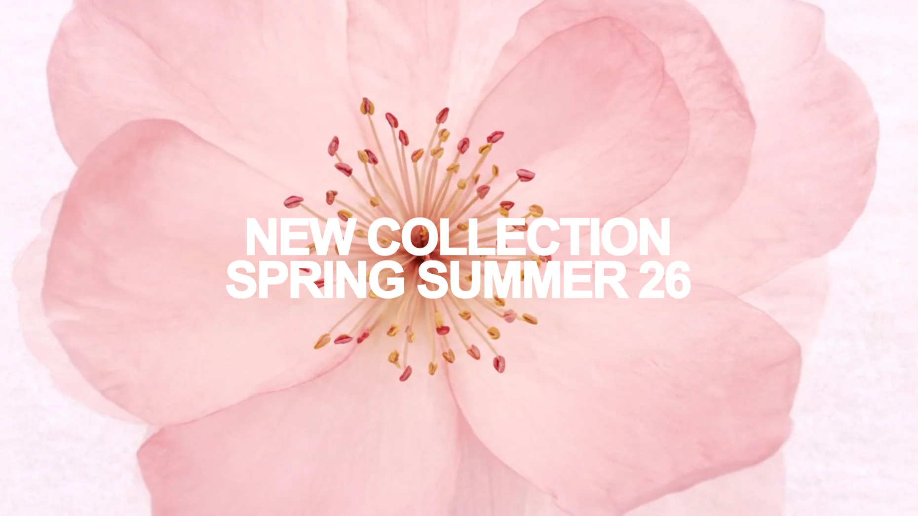 White Mood: Il Tuo Stile Iconico